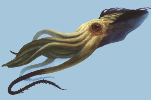Kraken сайт kraken torion