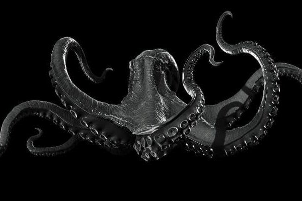 Kraken это