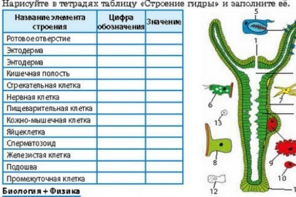 Кракен это даркнет маркетплейс