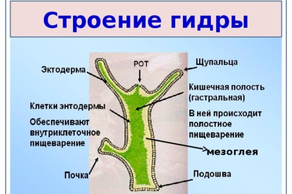 Кракен ссылка замена