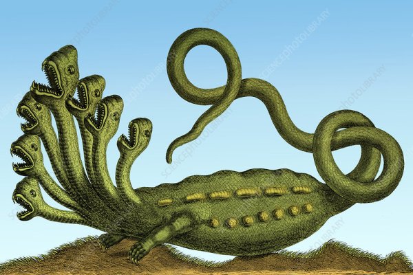 Kraken 15 at