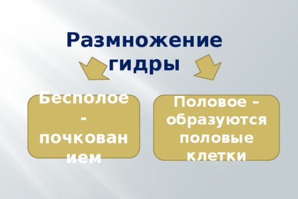 Кракен интернет площадка