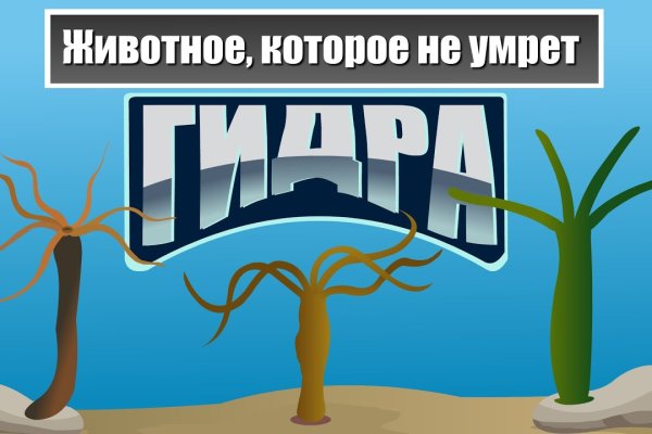 Как вывести деньги с кракена маркетплейс